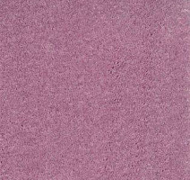 Ковролин AW Surprise 66 фото 1 | FLOORDEALER