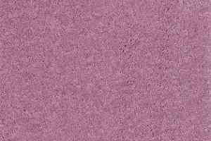 Ковролин AW Surprise 66 фото  | FLOORDEALER