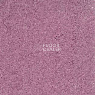 Ковролин AW Surprise 66 фото 1 | FLOORDEALER