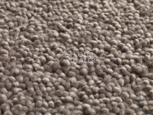 Ковролин Jacaranda Carpets Mayfield Grey фото 1 | FLOORDEALER