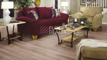 Kronotex Mammut Plus d4726 Дуб Горный Коричневый фото 2 | FLOORDEALER