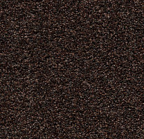 Грязезащитные покрытия Forbo Coral Bright 2606 Fine Peat фото 1 | FLOORDEALER