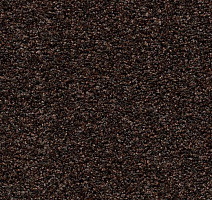 Грязезащитные покрытия Forbo Coral Bright 2606 Fine Peat фото 1 | FLOORDEALER