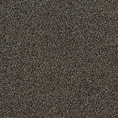 Desso Torso-Brlm 9104 фото 1 | FLOORDEALER