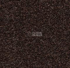 Грязезащитные покрытия Forbo Coral Bright 2606 Fine Peat фото 1 | FLOORDEALER