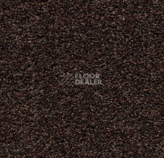 Грязезащитные покрытия Forbo Coral Bright 2606 Fine Peat фото 1 | FLOORDEALER
