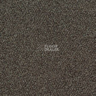 Ковролин Desso Torso-Brlm 9104 фото 1 | FLOORDEALER