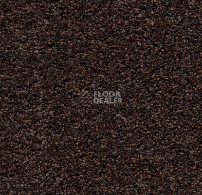 Грязезащитные покрытия Forbo Coral Bright 2606 Fine Peat фото 1 | FLOORDEALER
