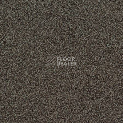 Ковролин Desso Torso-Brlm 9104 фото 1 | FLOORDEALER