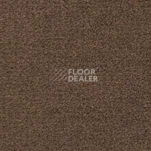 Ковролин Radici Montecarlo 56 фото 1 | FLOORDEALER