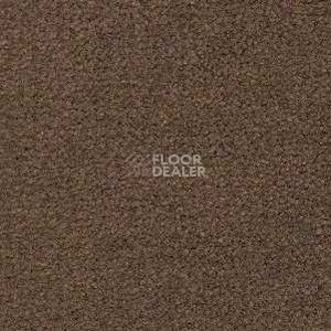 Ковролин Radici Montecarlo 56 фото 1 | FLOORDEALER