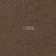 Ковролин Radici Montecarlo 56 фото 1 | FLOORDEALER