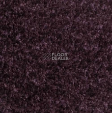 Ковролин Carnival Associated 19 фото 1 | FLOORDEALER