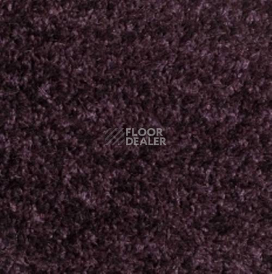 Ковролин Carnival Associated 19 фото 1 | FLOORDEALER