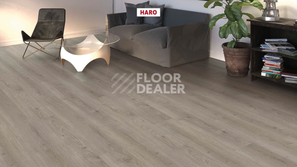 Ламинат Haro Tritty 100 4V Дуб Флавия Серый 544702 фото 3 | FLOORDEALER