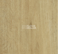 Кварцвиниловые полы Forbo allura decibel 0.8 wood 5113AD8 summer harvest oak (100x16.6 cm) фото 1 | FLOORDEALER
