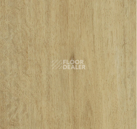 Кварцвиниловые полы Forbo allura decibel 0.8 wood 5113AD8 summer harvest oak (100x16.6 cm) фото 1 | FLOORDEALER