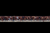 Desso Shape ac 74 2962 фото 5 | FLOORDEALER