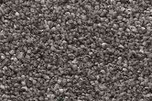 Ковролин AW Perseus 97 фото  | FLOORDEALER