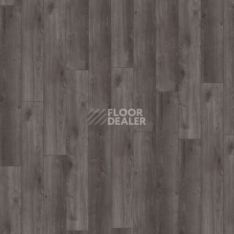 Kronotex Exquisit 8мм d6017 Дуб Кашмир Чёрный фото 3 | FLOORDEALER