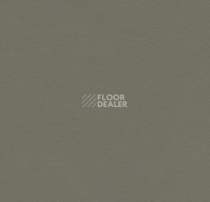 Линолеум Forbo Marmoleum Solid Walton 3375 grey adobe фото 1 | FLOORDEALER