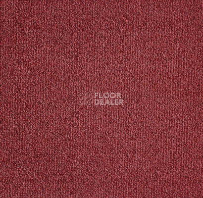 Ковролин Big Sense Hightlights 469 фото 1 | FLOORDEALER