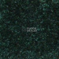 Ковролин Hidden Treasure Beaulie of America Rain Forest 09 фото 1 | FLOORDEALER