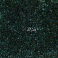 Ковролин Hidden Treasure Beaulie of America Rain Forest 09 фото 1 | FLOORDEALER