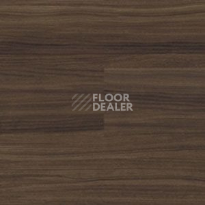 Линолеум Polyflor Expona Wood 6187 фото 1 | FLOORDEALER