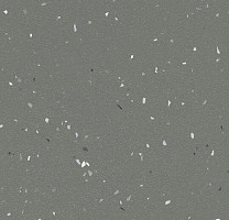 Линолеум Forbo SureStep Star 176972 elephant фото 1 | FLOORDEALER