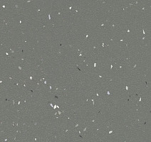 Линолеум Forbo SureStep Star 176972 elephant фото 1 | FLOORDEALER