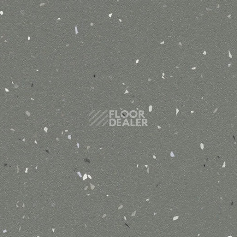 Линолеум Forbo SureStep Star 176972 elephant фото 1 | FLOORDEALER