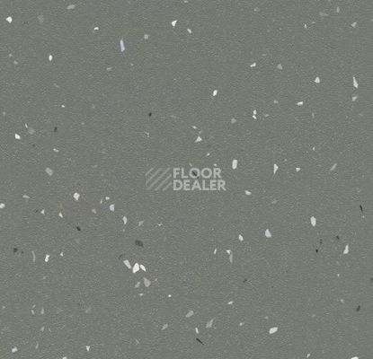 Линолеум Forbo SureStep Star 176972 elephant фото 1 | FLOORDEALER