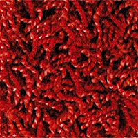 Ковролин Girloon Dream 165 фото 1 | FLOORDEALER