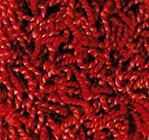 Ковролин Girloon Dream 165 фото 1 | FLOORDEALER