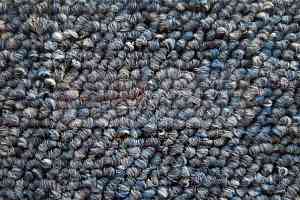 Ковролин Timzo Fortuna 3935 фото  | FLOORDEALER