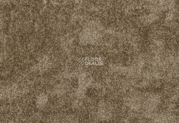 Ковролин AW Masquerade Vittorio 42 фото 1 | FLOORDEALER