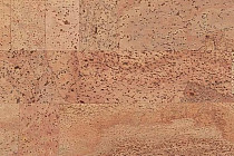 Пробковое покрытие Corkwise FANTASIE фото 1 | FLOORDEALER