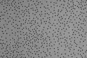 Ковролин Balsan Constellation 920 фото  | FLOORDEALER