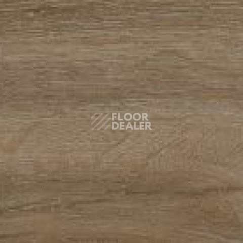 FineFloor FF-1800 Gear 1806 Ассен фото 2 | FLOORDEALER