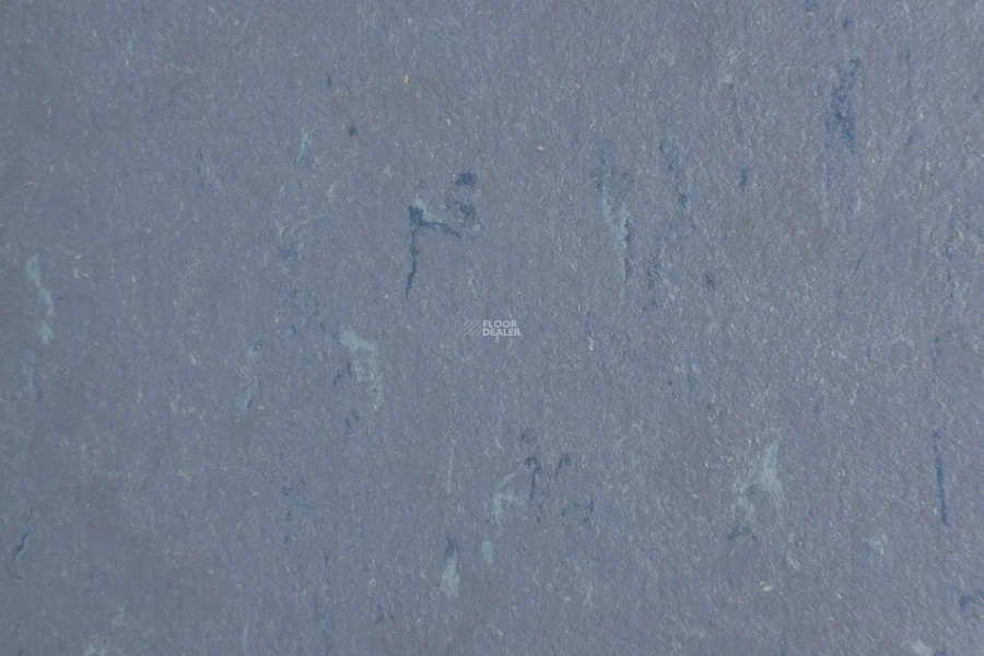 Forbo Marmoleum Solid Piano 3642-364235 periwinkle фото 2 | FLOORDEALER