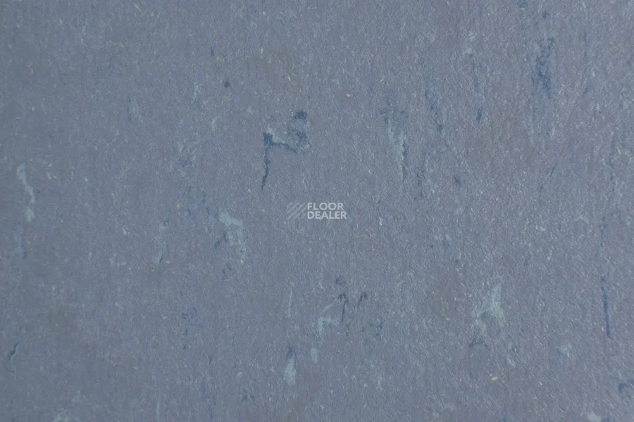 Forbo Marmoleum Solid Piano 3642-364235 periwinkle фото 2 | FLOORDEALER