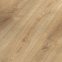 Ламинат Parador Basic Plus 600 XS 1744352 Дуб Нова Холоден фото 1 | FLOORDEALER