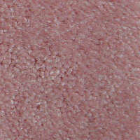 Ковролин Serene Beaulieu of America 28 фото 1 | FLOORDEALER