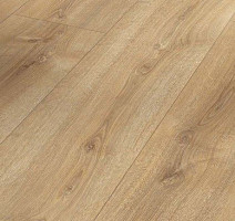 Ламинат Parador Basic Plus 600 XS 1744352 Дуб Нова Холоден фото 1 | FLOORDEALER