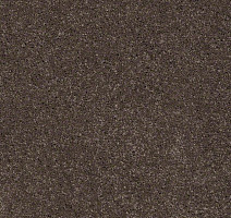 Ковролин Shaw Design Texture Platinum 723 фото 1 | FLOORDEALER