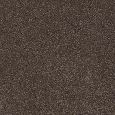 Ковролин Shaw Design Texture Platinum 723 фото 1 | FLOORDEALER