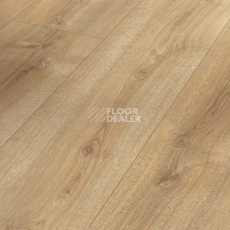 Ламинат Parador Basic Plus 600 XS 1744352 Дуб Нова Холоден фото 1 | FLOORDEALER