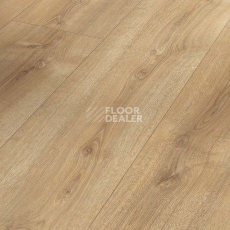 Ламинат Parador Basic Plus 600 XS 1744352 Дуб Нова Холоден фото 1 | FLOORDEALER