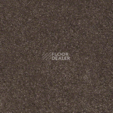 Ковролин Shaw Design Texture Platinum 723 фото 1 | FLOORDEALER